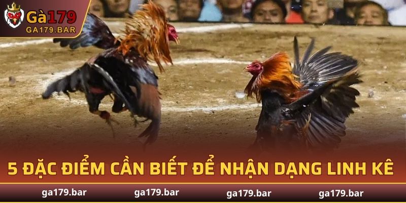 5 đặc điểm cần biết để nhận dạng linh kê