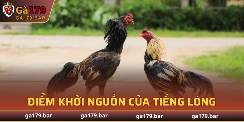 Điểm khởi nguồn của tiếng lóng