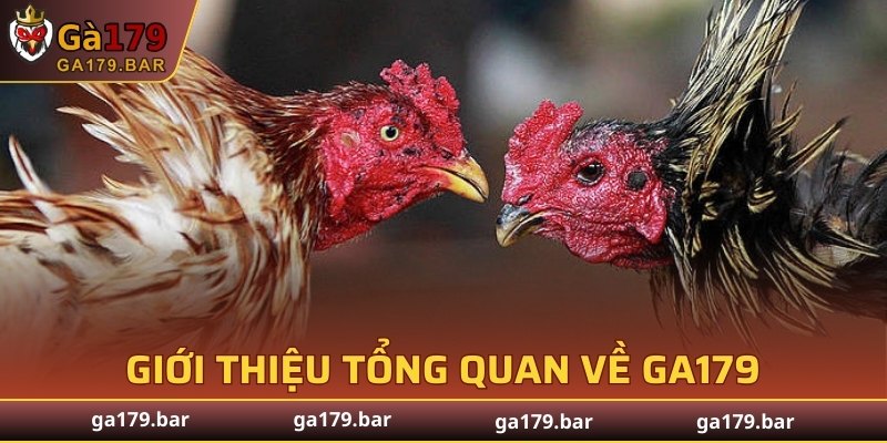 Giới thiệu tổng quan về GA179