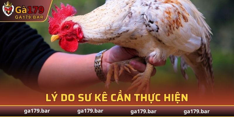 Lý do sư kê cần cách mài cựa gà