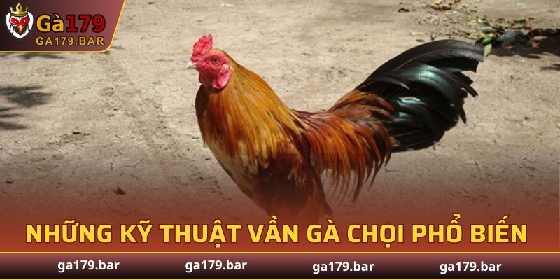 Những kỹ thuật vần gà chọi phổ biến hiện nay