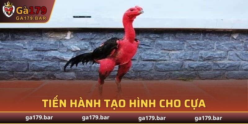 Thực hiện tạo hình và uốn